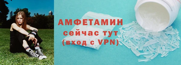 прущие грибы Нея