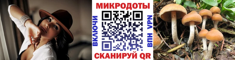 где продают наркотики mega зеркало Псилоцибиновые грибы MAGIC MUSHROOMS Кинешма