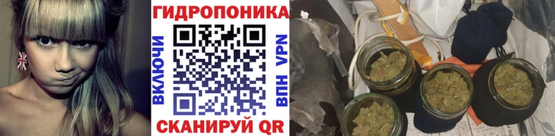 как найти закладки  Кинешма  Конопля марихуана 